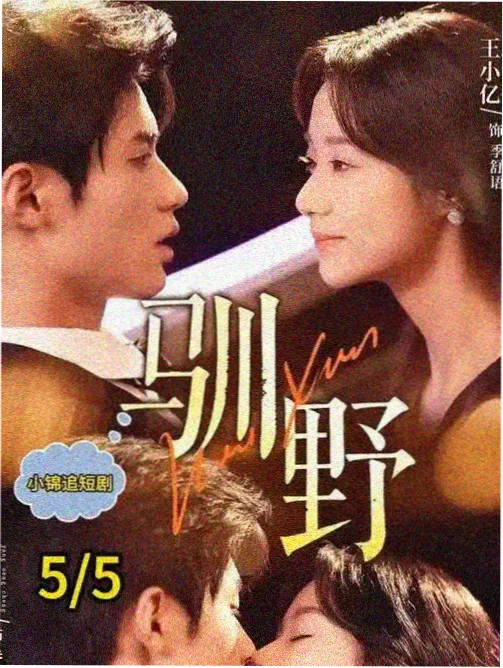 北纬二十四海报